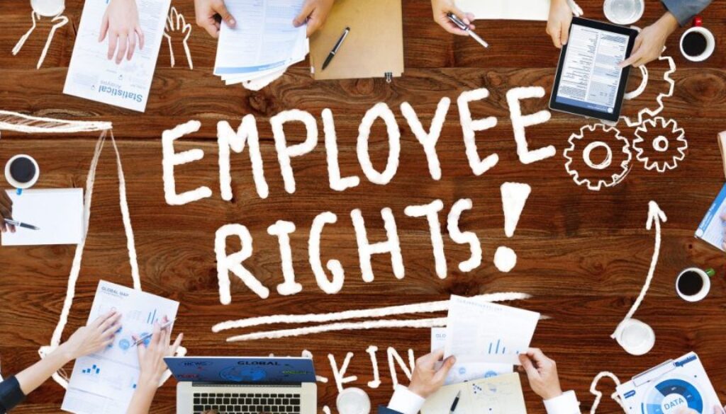 Labour-law